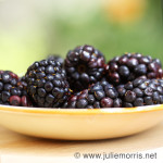blackberries_web